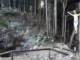 Der Berg Macesovna gorica im Gottscheer Hornwald (Kočevski rog) zählt zu den zentralen Symbolen des kommunistischen Holocaust. „Macesnova gorica je eden osrednjih simbolov kommunističnega holokavsta“.