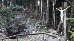 Der Berg Macesovna gorica im Gottscheer Hornwald (Kočevski rog) zählt zu den zentralen Symbolen des kommunistischen Holocaust. „Macesnova gorica je eden osrednjih simbolov kommunističnega holokavsta“.